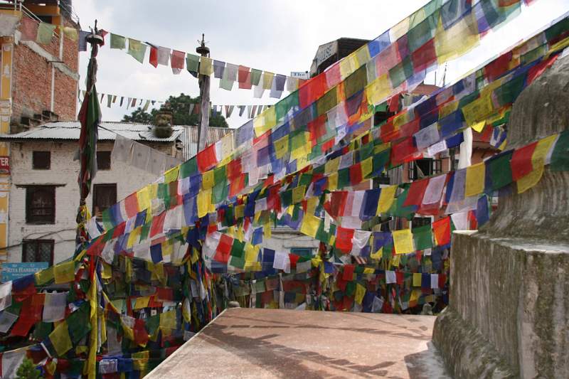 India & Nepal 2011 - 0223